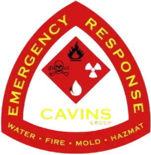Business logo for Cavins Group